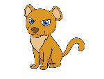 baby_cougar_animation_5C