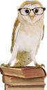 owl wearing glasses